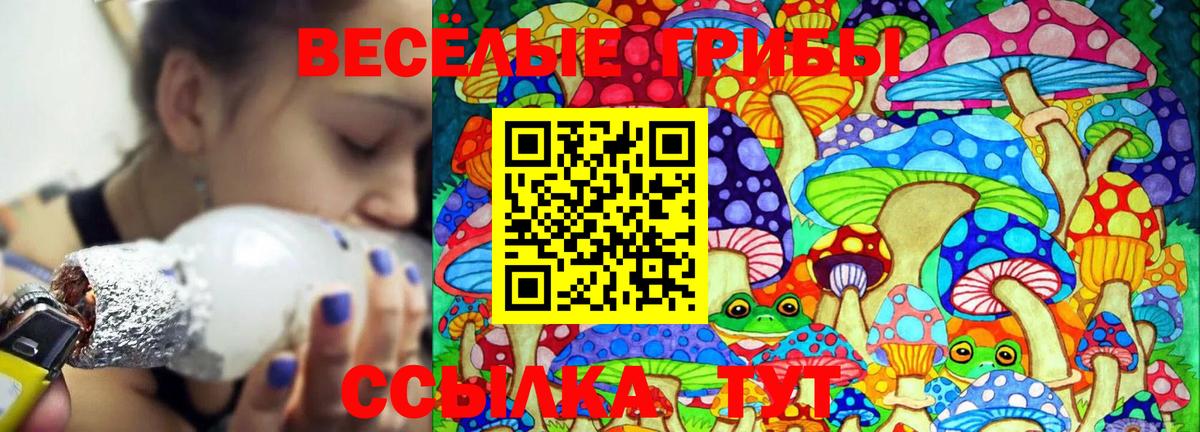 даркнет сайт  Псилоцибиновые грибы Magic Shrooms  Вход с VPN  Артём 